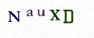 Visual Confirmation Security Code