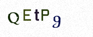 Visual Confirmation Security Code