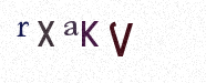 Visual Confirmation Security Code